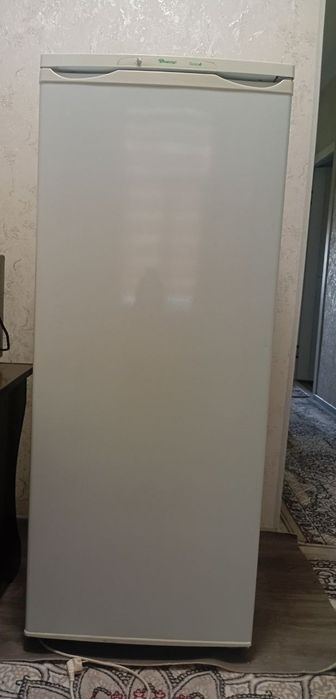 Холодильник Днепр Class A+