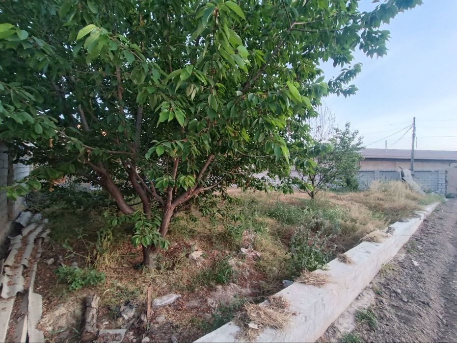 Срочно продаётся Земля 300 КВ-м2