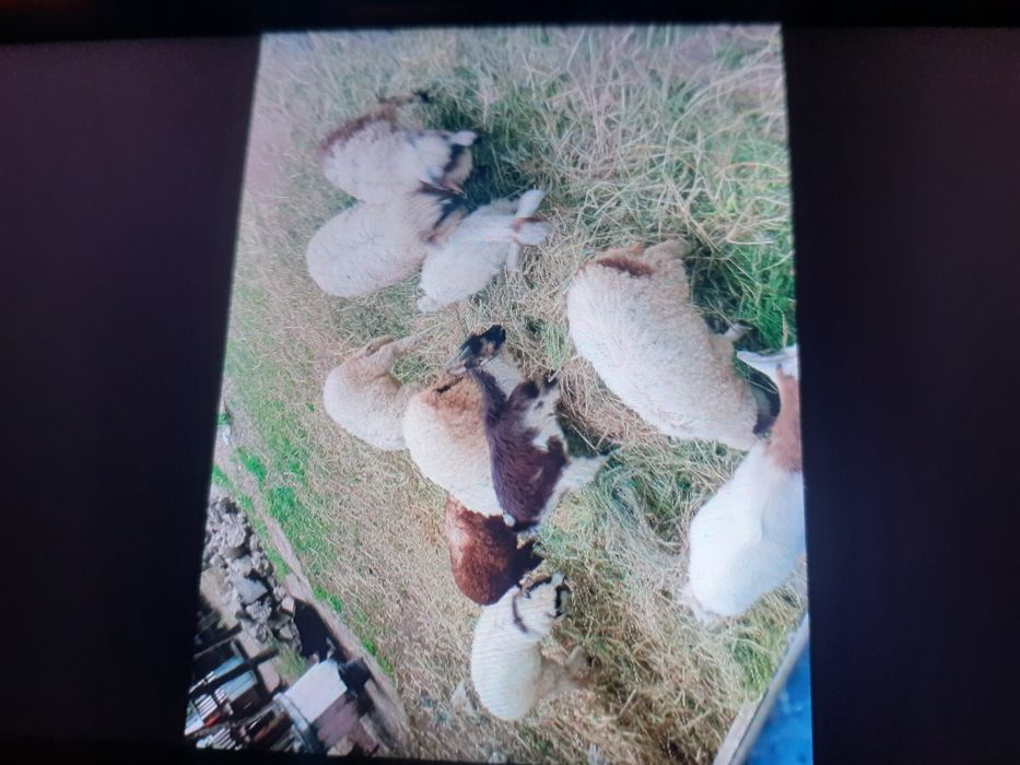 Vand ce se vede in poza