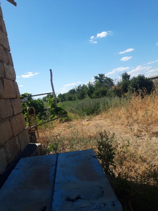 Алмалыдан Датча сатылады