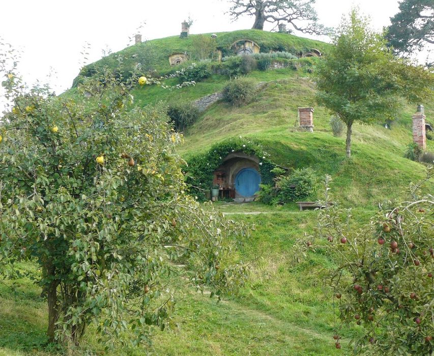 Teren cu vedere la Piatra Craiului