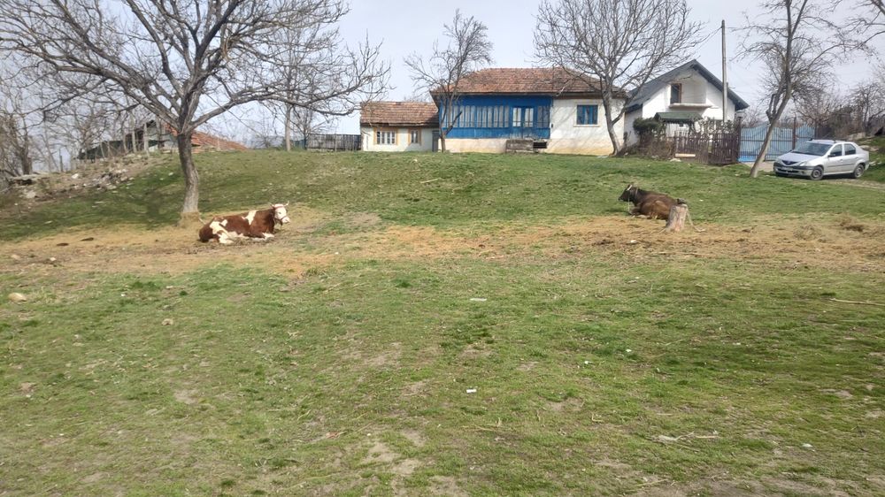 Teren cu casa demolabila, Racovițeni, Buzau