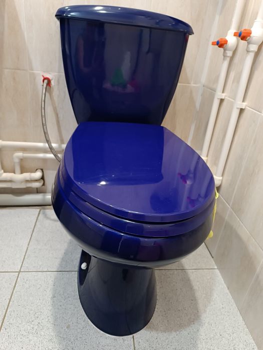 Продам унитаз и тюльпан