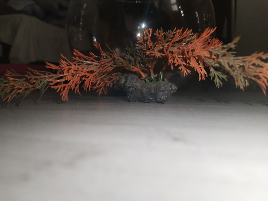 Acvariu pești beta cu accesorii.