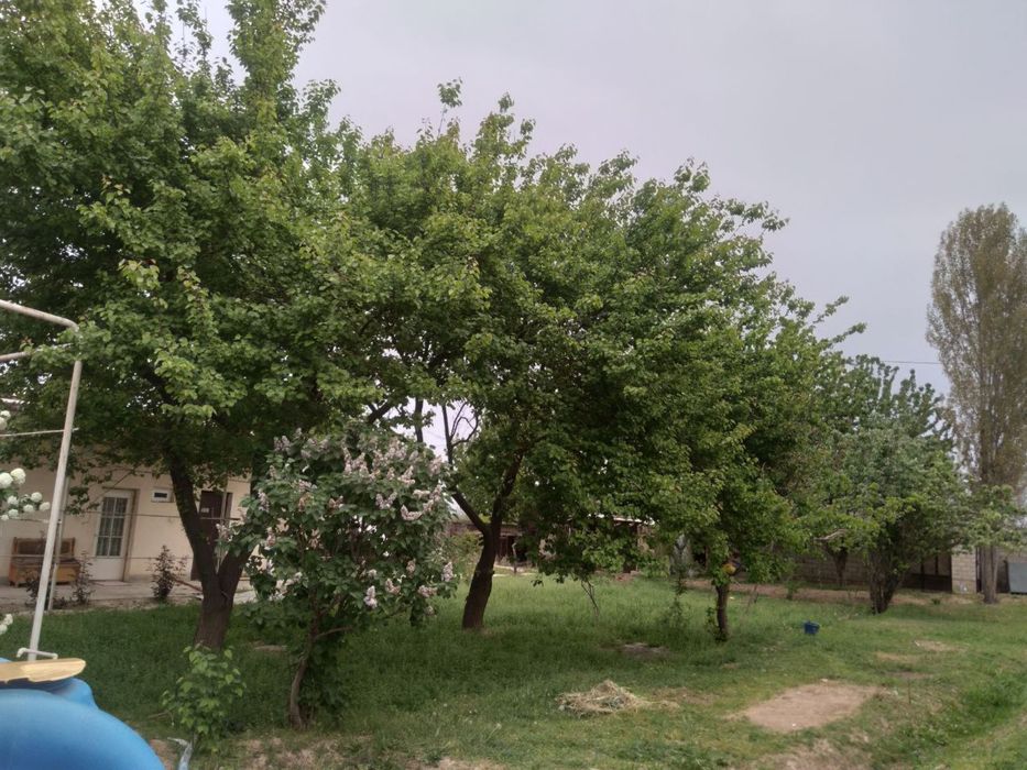 Участка сотилади срочный