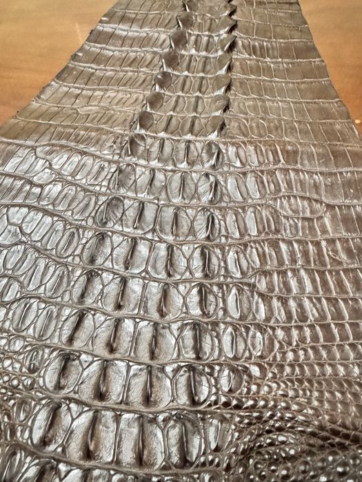Кожа крокодила настоящая