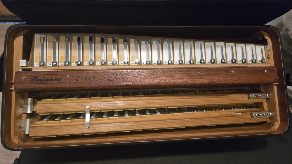 Acordeon Bicanto Piatanesi 2+2 Cassotto A Mano Nou