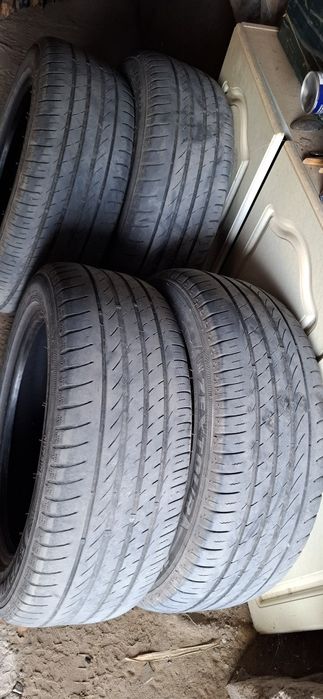 Шины летние. ЗЕКСТУР.