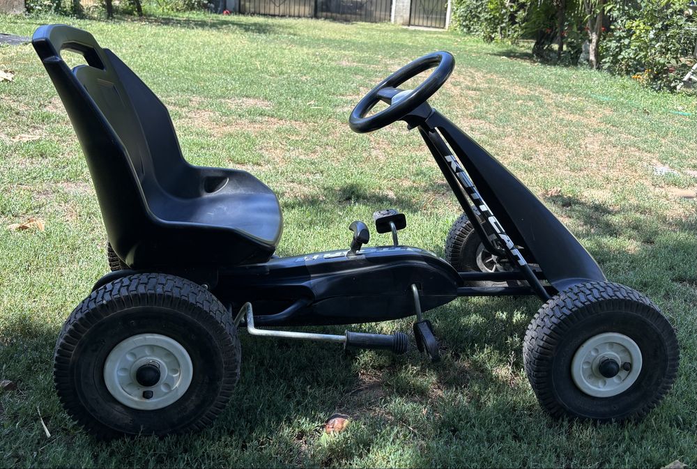Kart Kettler  4 ani +