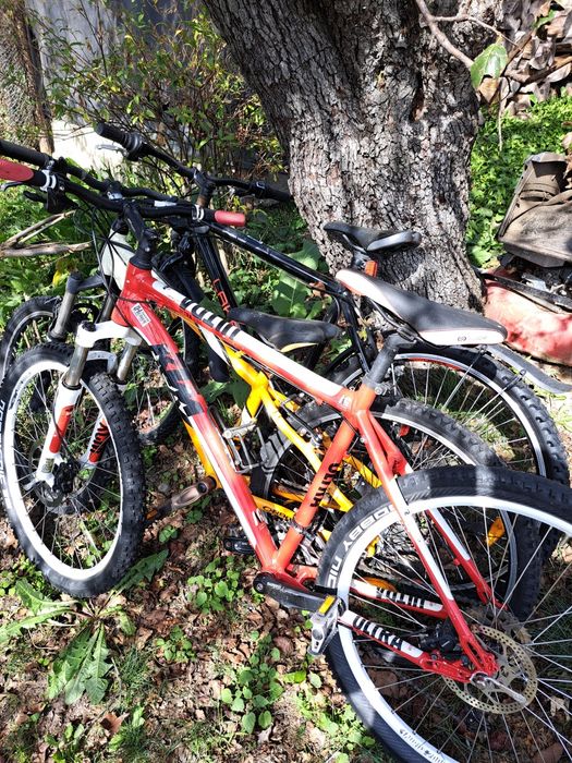 Biciclete de vânzare