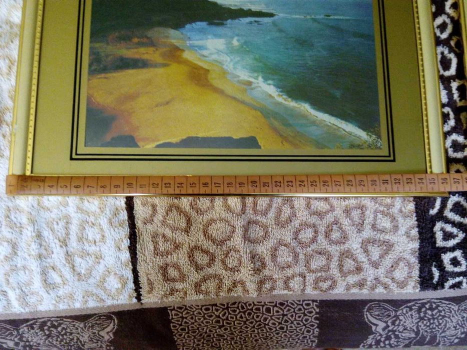 картины для интерьера 2 штуки