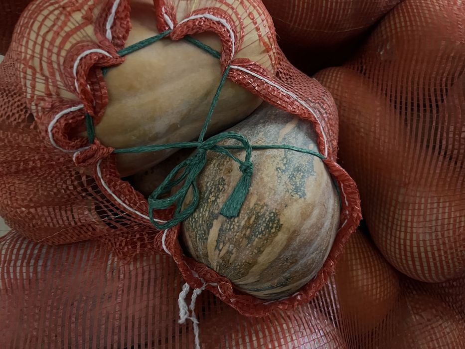 Продам мантную тыкву