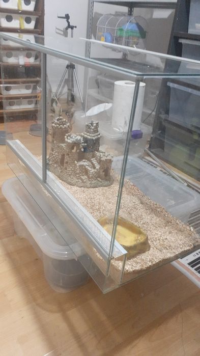 Terariu reptile (exotera)