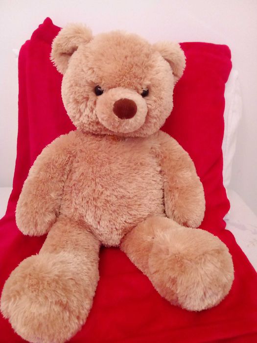 Голямо плюшена играчка - 15 лв.