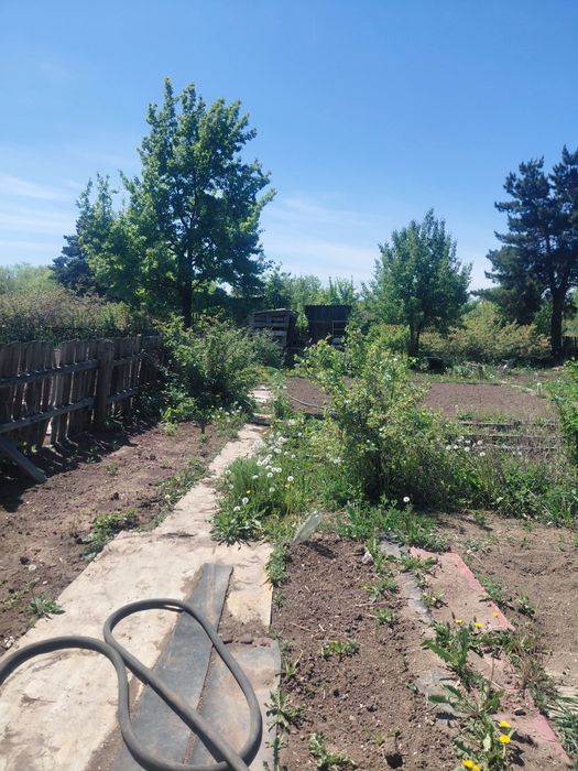 продам дачу в Михайловке