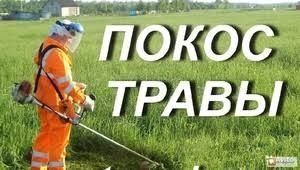 Покос травы триммер шөп шабу