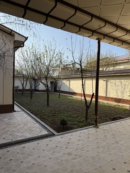 Kelesda 6sotix xovli