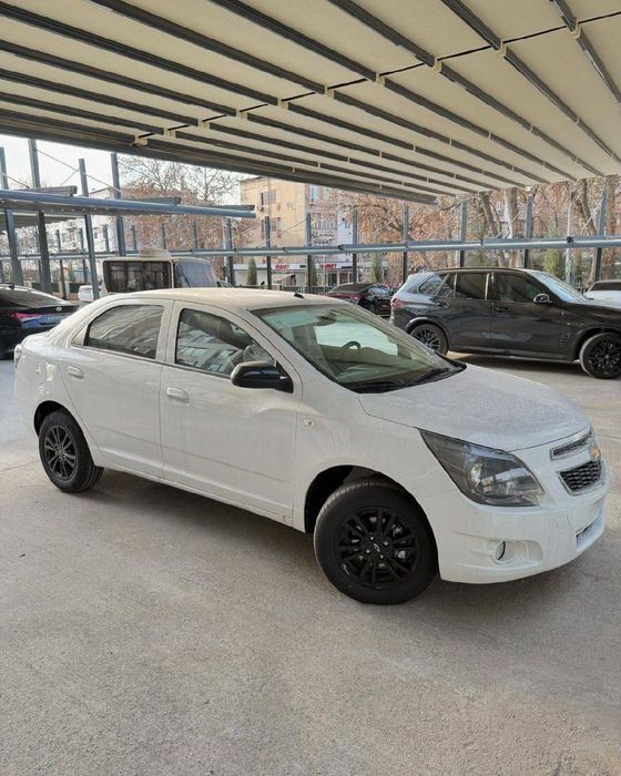 Engicha Cobalt Midnight Mcm