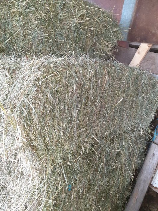 Baloți fân coasa 1 .șî 2.semănătoare porumb.