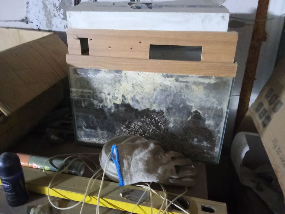 Аквариум для рыб