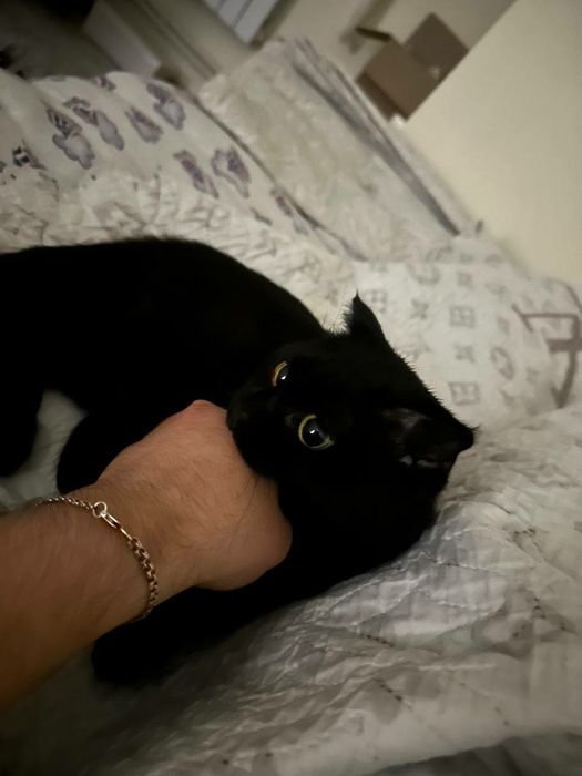 Звоните всё обсудим