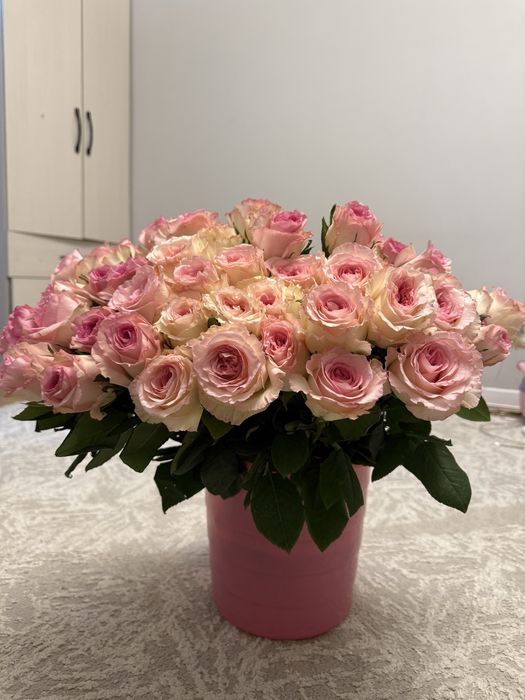 Розы свежие 51 роз