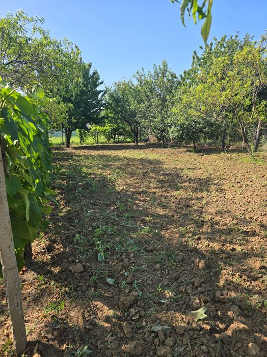 Продава се Къща в с. Калипетрово, Област Силистра - 45 кв.м за 680 €/кв.м - Снимка #5