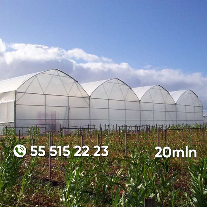 Koreya issiqxonalari va issiqxona uchun materiallar