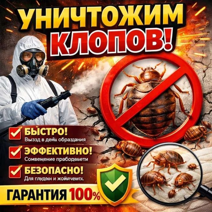 Дезинфекция Тараз