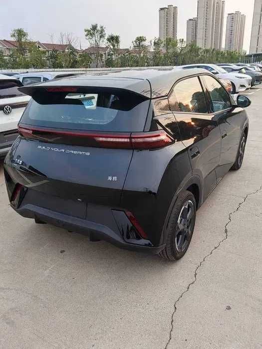 byd seagull pad zakaz