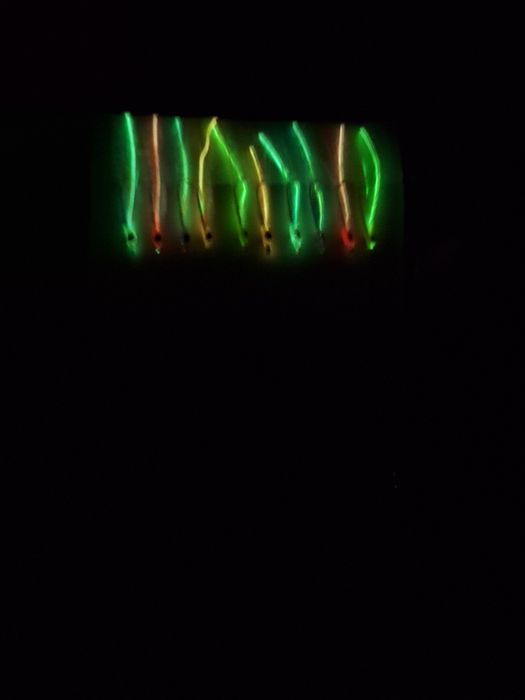 Чепарета за морски риболов