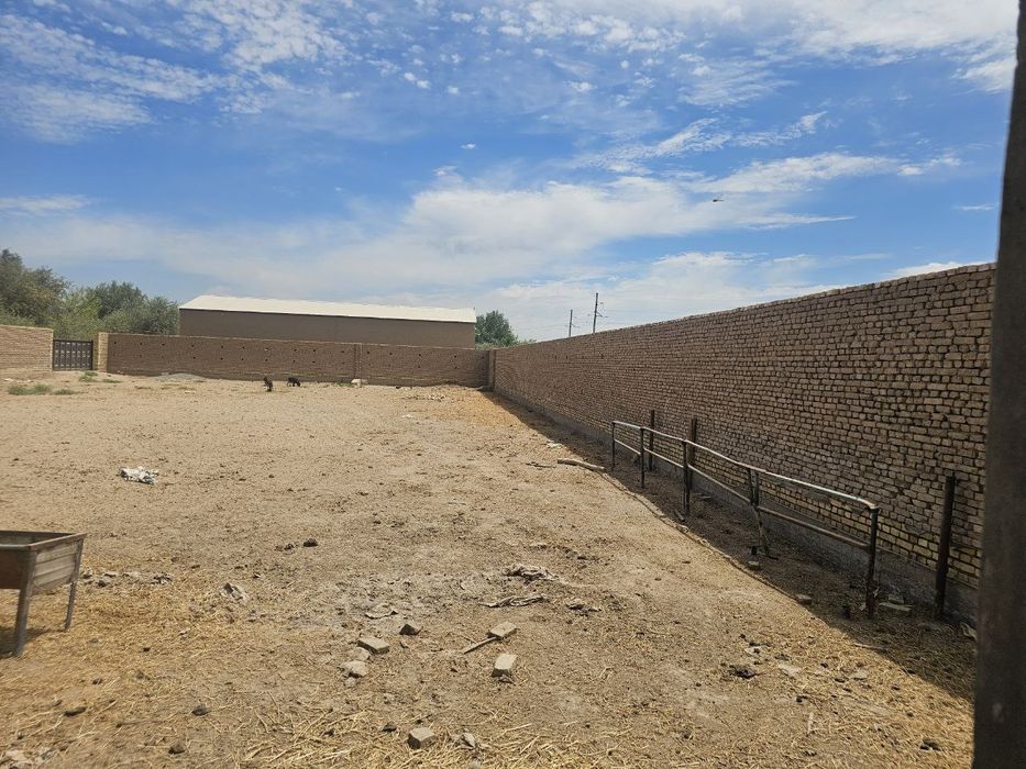 Мол боқиш учун 200 бош мола мўлжалланган ферма ижара