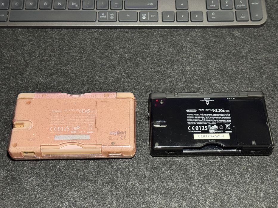Console portabile Nintendo DS Lite
