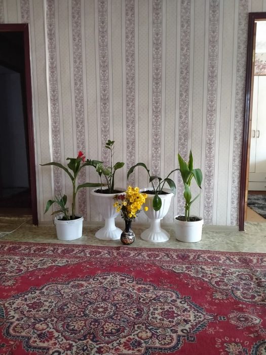 Урджарда үй сатылады