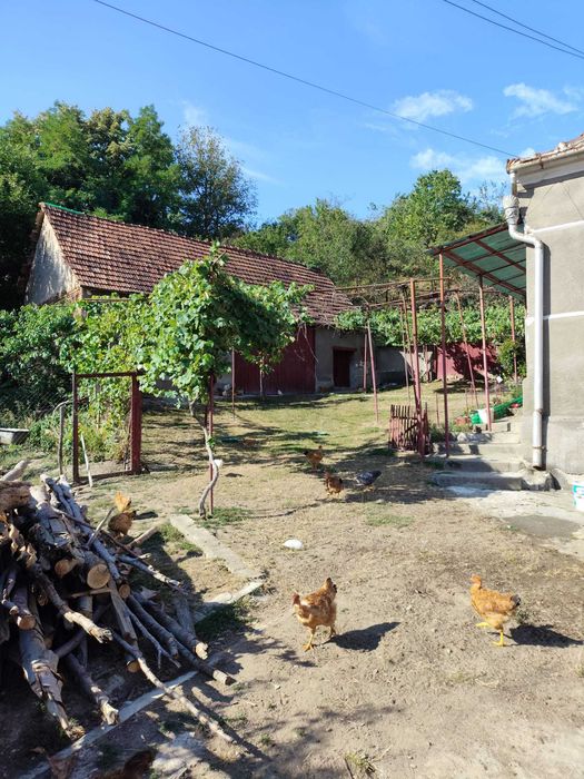 Casa de vanzare - Cioara