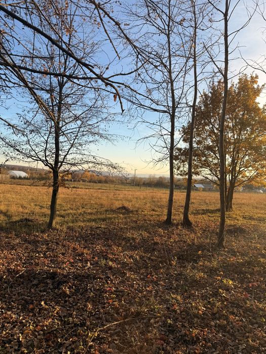 Teren intravilan,investitii,-Mitocas