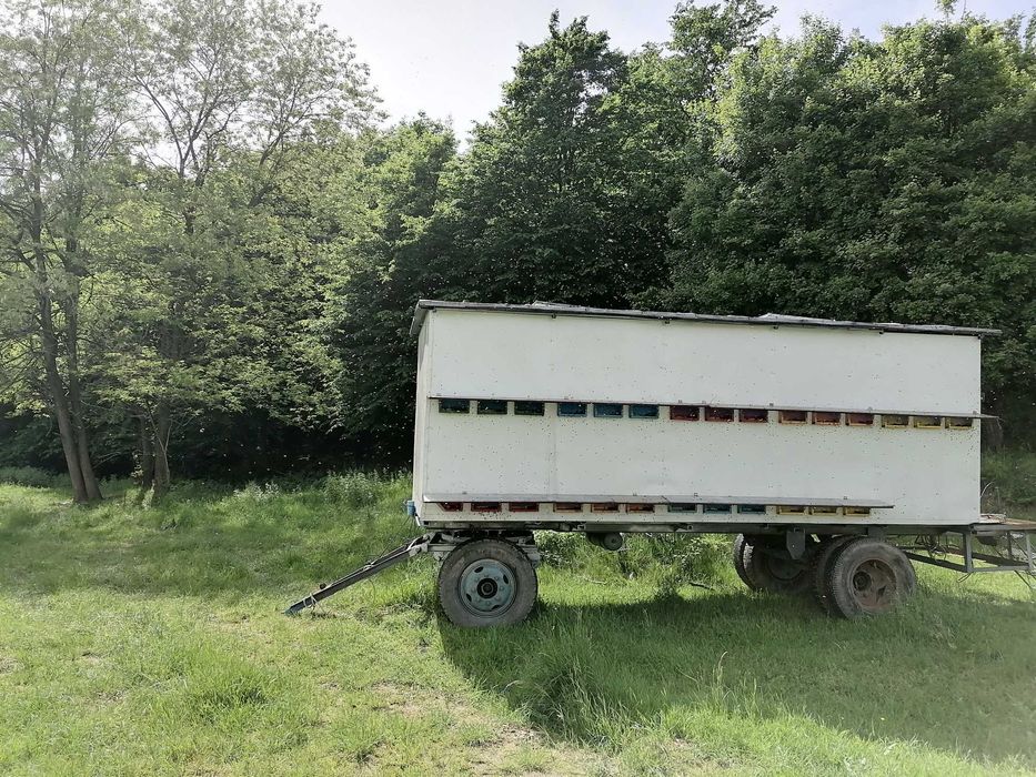 Vând 2 pavilioane Apicole 50 fam sau schimb