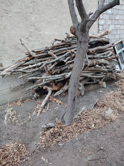 Утинлар сотилади