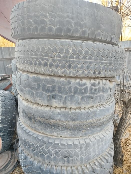 Дом. Сад. Огород.