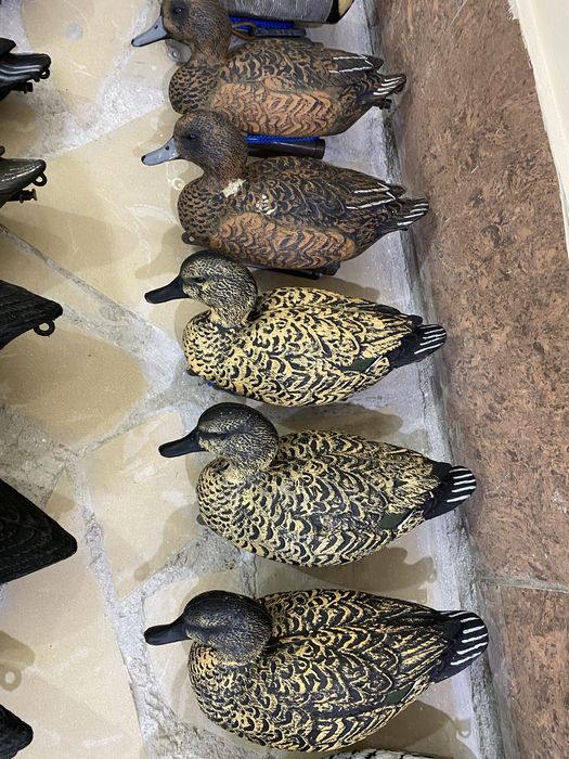 Подсадные утки ,профеля