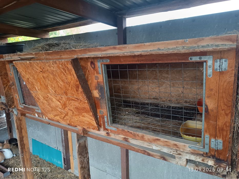 Клетки для кроликов