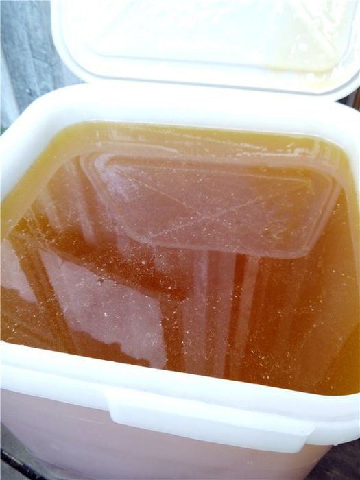 Мед свежий 2025 года