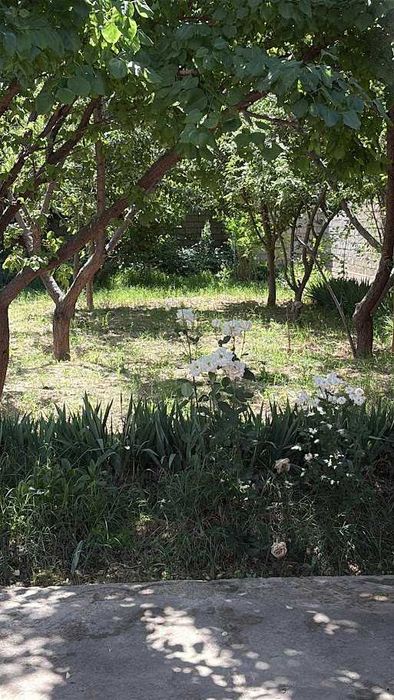 6 sotix Er Sotiladi - Damariq Toshmi po‘stidan 3km