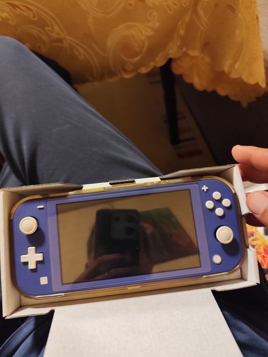 Nintendo switch lite