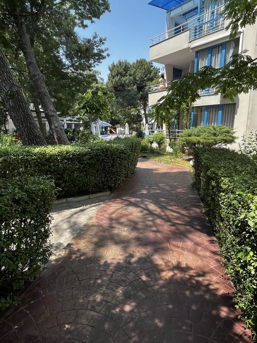 Почистване, поддръжка на дворове и градини