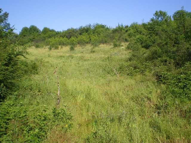 Продава се Парцел в Стара Загора, Аязмото - 6702 кв.м за 5 €/кв.м - Снимка #4