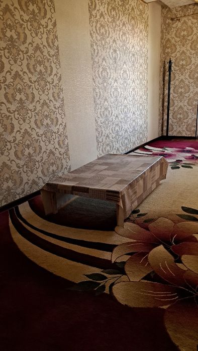 O'g'il Bola studentlarga Tarix fakulteti yaqinida