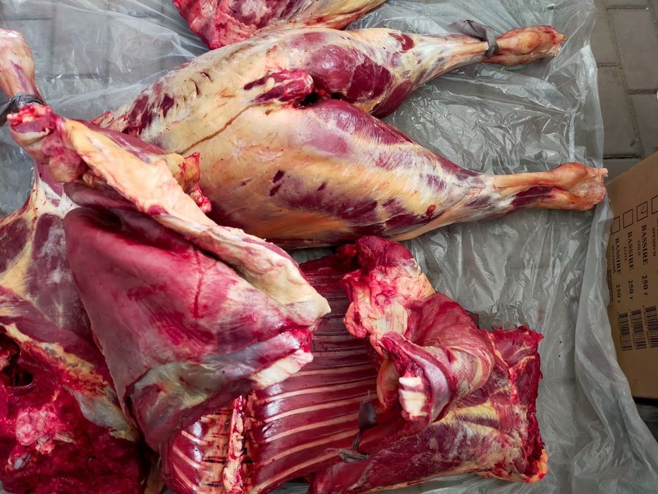 Жабағы сатылады бағасы келісіммен