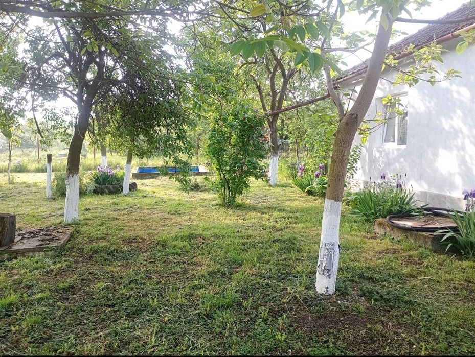 Casa de vânzare Aluniș Arad