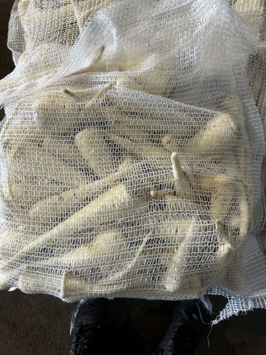 Pastarnac spalat 10 kg